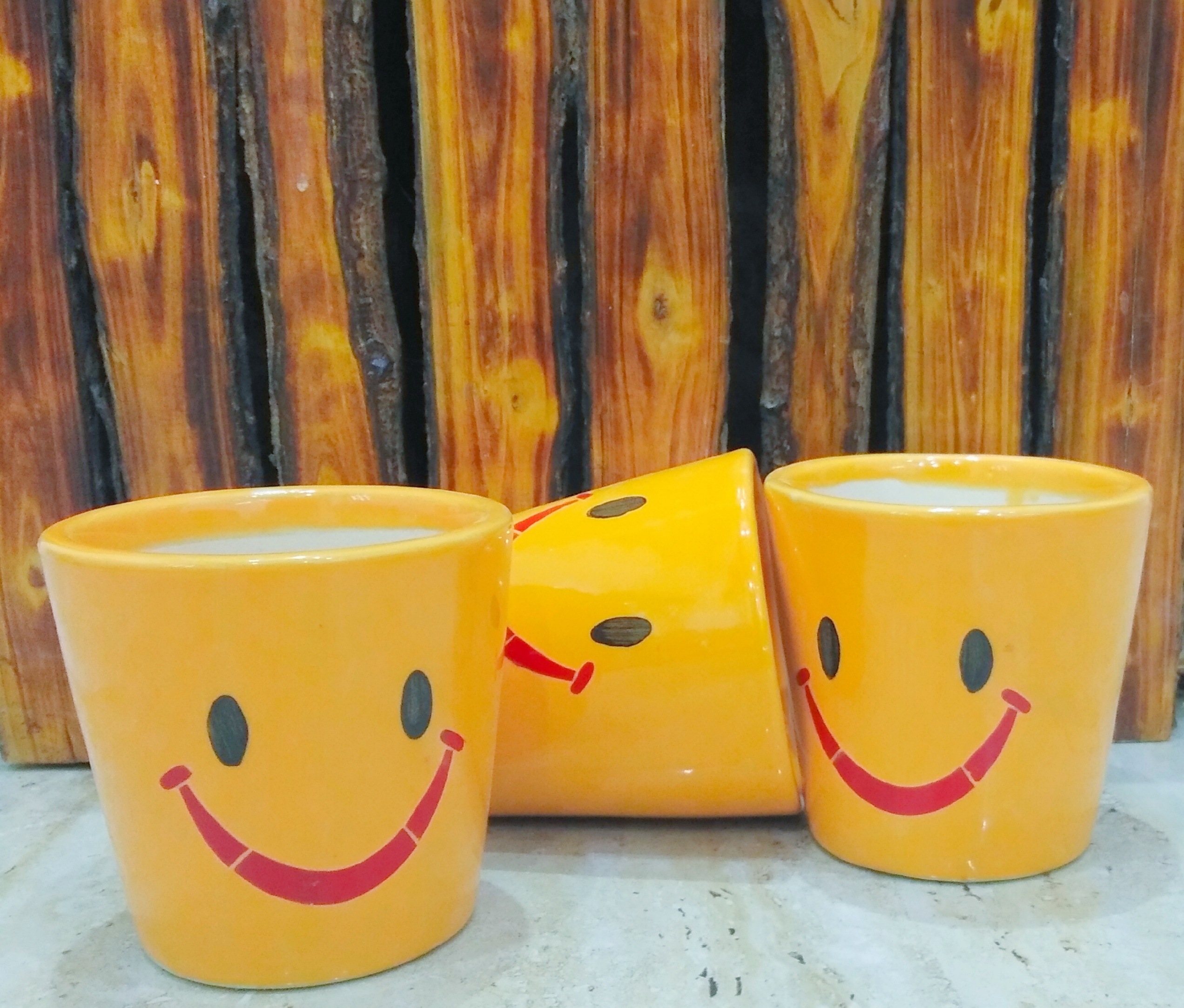 Baati Smiley Planter
